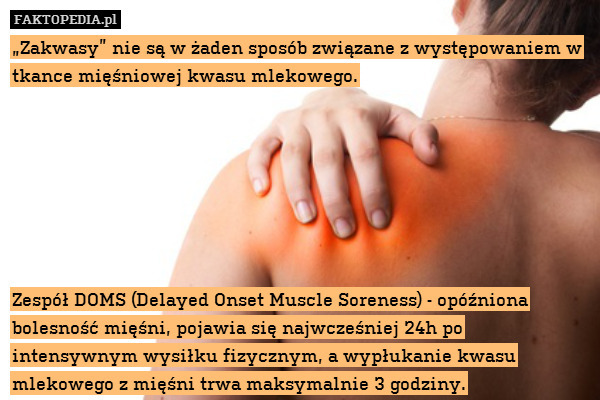 „Zakwasy” nie są w żaden sposób związane z występowaniem w tkance mięśniowej kwasu mlekowego.







Zespół DOMS (Delayed Onset Muscle Soreness) - opóźniona bolesność mięśni, pojawia się najwcześniej 24h po intensywnym wysiłku fizycznym, a wypłukanie kwasu mlekowego z mięśni trwa maksymalnie 3 godziny. 