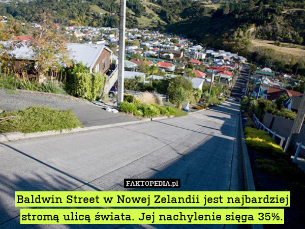Baldwin Street w Nowej Zelandii jest najbardziej stromą ulicą świata. Jej nachylenie sięga 35%. 