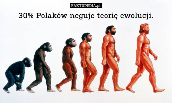 30% Polaków neguje teorię ewolucji. 