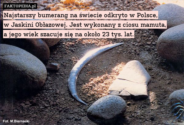 Najstarszy bumerang na świecie odkryto w Polsce,
w Jaskini Obłazowej. Jest wykonany z ciosu mamuta,
a jego wiek szacuje się na około 23 tys. lat. 