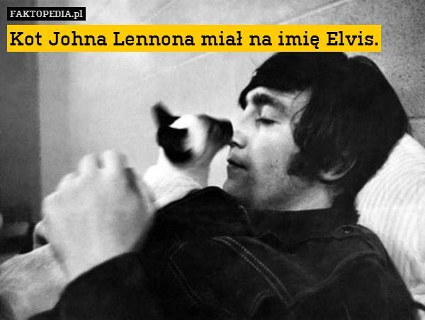 Kot Johna Lennona miał na imię Elvis. 