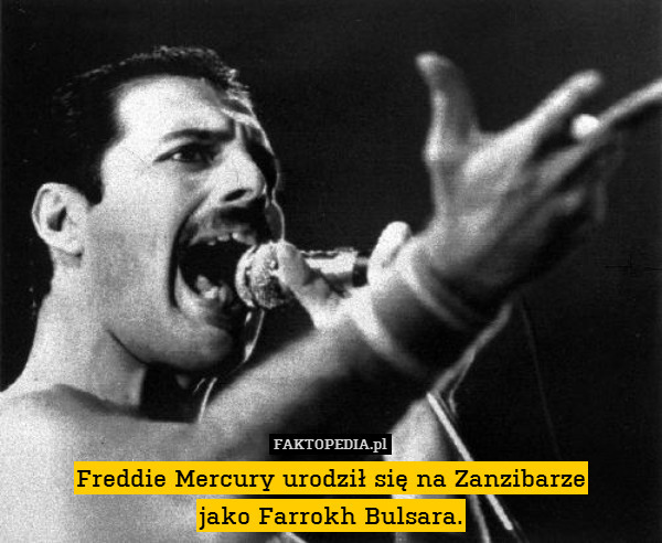 Freddie Mercury urodził się na Zanzibarze
jako Farrokh Bulsara. 
