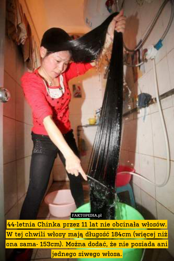 44-letnia Chinka przez 11 lat nie obcinała włosów. W tej chwili włosy mają długość 184cm (więcej niż ona sama- 153cm). Można dodać, że nie posiada ani jednego siwego włosa. 