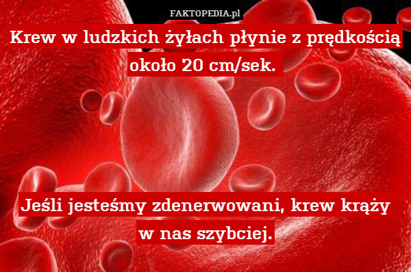Krew w ludzkich żyłach płynie z prędkością
około 20 cm/sek. 




Jeśli jesteśmy zdenerwowani, krew krąży
w nas szybciej. 