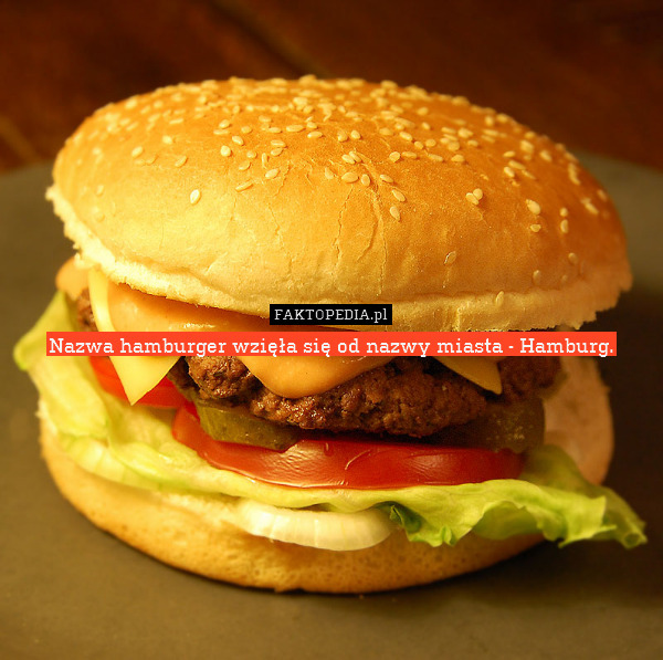 Nazwa hamburger wzięła się od nazwy miasta - Hamburg. 