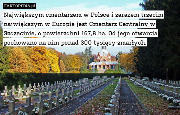 Największym cmentarzem w Polsce i zarazem trzecim największym w Europie jest Cmentarz Centralny w Szczecinie, o powierzchni 167,8 ha. Od jego otwarcia pochowano na nim ponad 300 tysięcy zmarłych. 