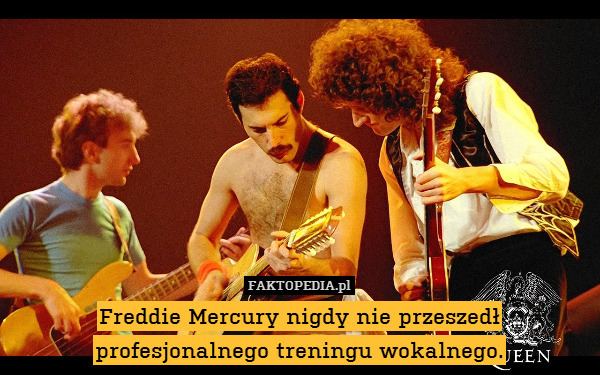 Freddie Mercury nigdy nie przeszedł profesjonalnego treningu wokalnego. 