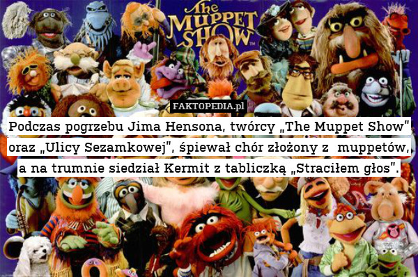 Podczas pogrzebu Jima Hensona, twórcy „The Muppet Show” oraz „Ulicy Sezamkowej”, śpiewał chór złożony z  muppetów,
a na trumnie siedział Kermit z tabliczką „Straciłem głos”. 