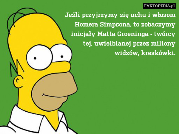 Jeśli przyjrzymy się uchu i włosom
Homera Simpsona, to zobaczymy
inicjały Matta Groeninga - twórcy
tej, uwielbianej przez miliony
widzów, kreskówki. 
