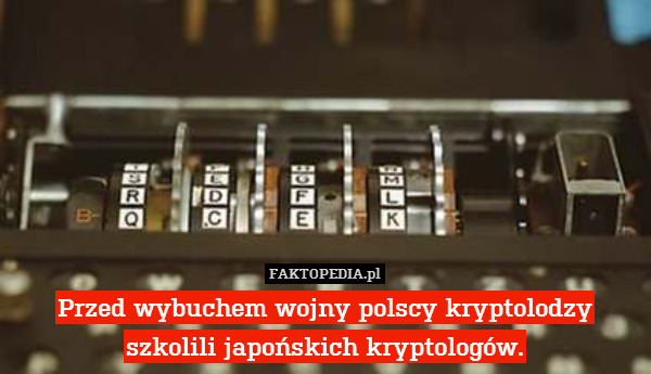 Przed wybuchem wojny polscy kryptolodzy
szkolili japońskich kryptologów. 