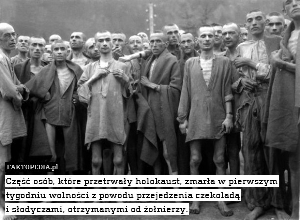 Część osób, które przetrwały holokaust, zmarła w pierwszym tygodniu wolności z powodu przejedzenia czekoladą
i słodyczami, otrzymanymi od żołnierzy. 