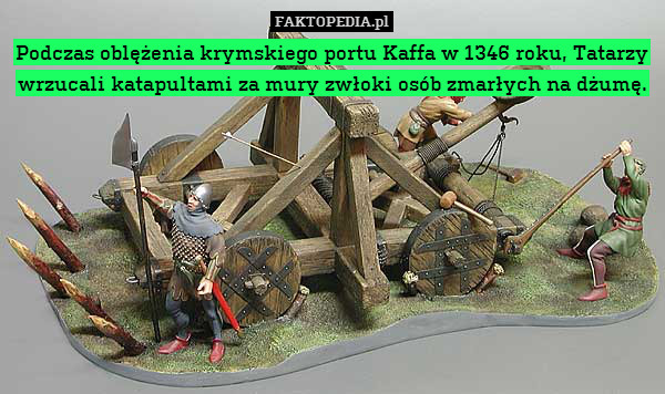 Podczas oblężenia krymskiego portu Kaffa w 1346 roku, Tatarzy wrzucali katapultami za mury zwłoki osób zmarłych na dżumę. 