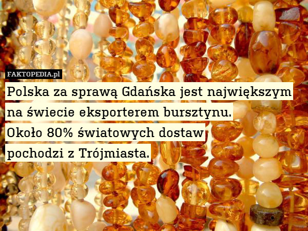 Polska za sprawą Gdańska jest największym
na świecie eksporterem bursztynu.
Około 80% światowych dostaw
pochodzi z Trójmiasta. 
