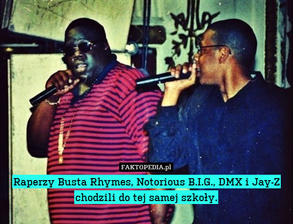 Raperzy Busta Rhymes, Notorious B.I.G., DMX i Jay-Z chodzili do tej samej szkoły. 