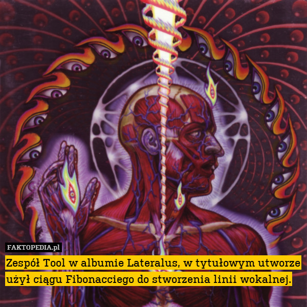 Zespół Tool w albumie Lateralus, w tytułowym utworze użył ciągu Fibonacciego do stworzenia linii wokalnej. 