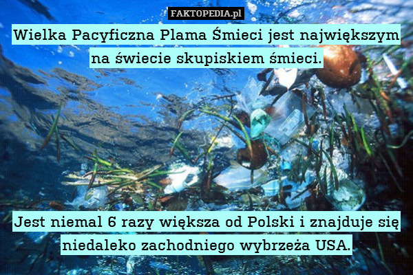 Wielka Pacyficzna Plama Śmieci jest największym na świecie skupiskiem śmieci.






Jest niemal 6 razy większa od Polski i znajduje się niedaleko zachodniego wybrzeża USA. 