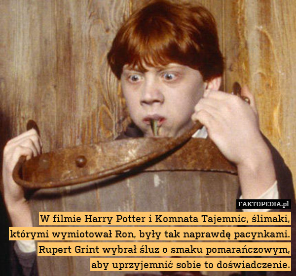 W filmie Harry Potter i Komnata Tajemnic, ślimaki, którymi wymiotował Ron, były tak naprawdę pacynkami. Rupert Grint wybrał śluz o smaku pomarańczowym,
aby uprzyjemnić sobie to doświadczenie. 