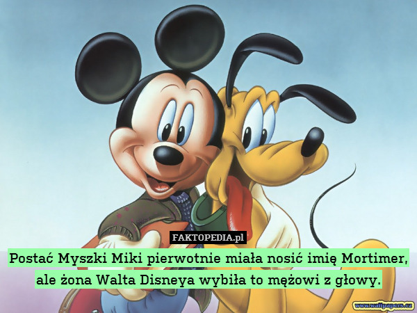 Postać Myszki Miki pierwotnie miała nosić imię Mortimer, ale żona Walta Disneya wybiła to mężowi z głowy. 