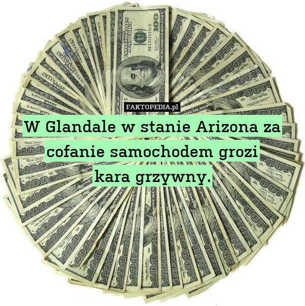 W Glandale w stanie Arizona za cofanie samochodem grozi
kara grzywny. 