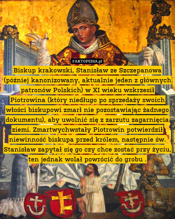 Biskup krakowski, Stanisław ze Szczepanowa (później kanonizowany, aktualnie jeden z głównych patronów Polskich) w XI wieku wskrzesił Piotrowina (który niedługo po sprzedaży swoich włości biskupowi zmarł nie pozostawiając żadnego dokumentu), aby uwolnić się z zarzutu zagarnięcia ziemi. Zmartwychwstały Piotrowin potwierdził niewinność biskupa przed królem, następnie św. Stanisław zapytał się go czy chce zostać przy życiu, ten jednak wolał powrócić do grobu . 