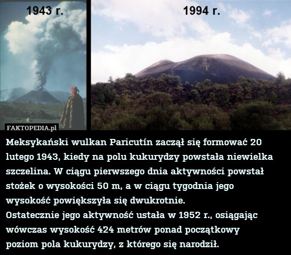 Meksykański wulkan Paricutín zaczął się formować 20 lutego 1943, kiedy na polu kukurydzy powstała niewielka szczelina. W ciągu pierwszego dnia aktywności powstał stożek o wysokości 50 m, a w ciągu tygodnia jego
wysokość powiększyła się dwukrotnie.
Ostatecznie jego aktywność ustała w 1952 r., osiągając wówczas wysokość 424 metrów ponad początkowy
poziom pola kukurydzy, z którego się narodził. 