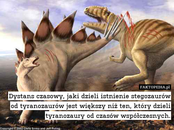 Dystans czasowy, jaki dzieli istnienie stegozaurów
od tyranozaurów jest większy niż ten, który dzieli
tyranozaury od czasów współczesnych. 