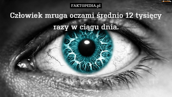 Człowiek mruga oczami średnio 12 tysięcy razy w ciągu dnia. 