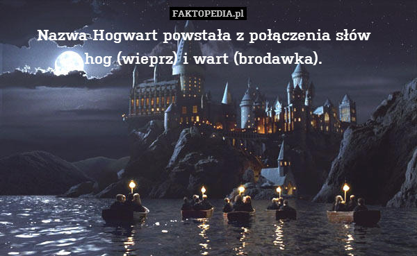 Nazwa Hogwart powstała z połączenia słów  
hog (wieprz) i wart (brodawka). 