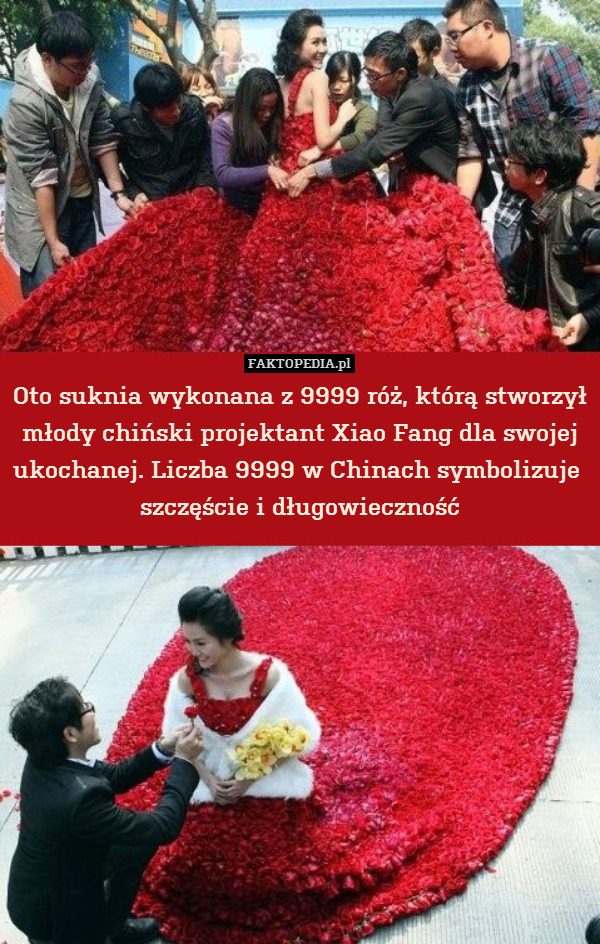 Oto suknia wykonana z 9999 róż, którą stworzył młody chiński projektant Xiao Fang dla swojej ukochanej. Liczba 9999 w Chinach symbolizuje 
szczęście i długowieczność 