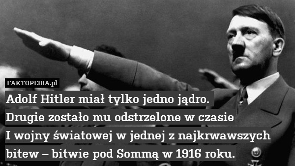 Adolf Hitler miał tylko jedno jądro. 
Drugie zostało mu odstrzelone w czasie
 I wojny światowej w jednej z najkrwawszych
 bitew – bitwie pod Sommą w 1916 roku. 
