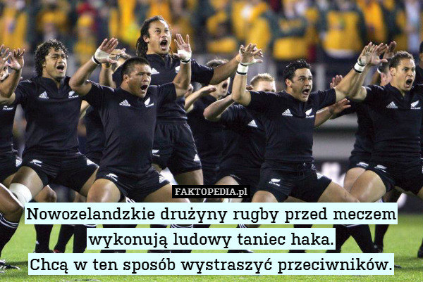 Nowozelandzkie drużyny rugby przed meczem wykonują ludowy taniec haka.
Chcą w ten sposób wystraszyć przeciwników. 