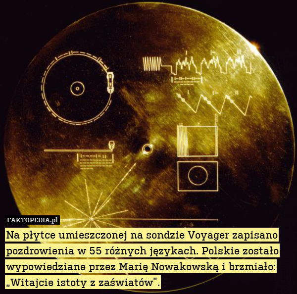 Na płytce umieszczonej na sondzie Voyager zapisano pozdrowienia w 55 różnych językach. Polskie zostało wypowiedziane przez Marię Nowakowską i brzmiało: „Witajcie istoty z zaświatów”. 