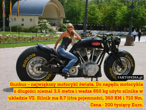 Gunbus – największy motocykl świata. Do napędu motocykla
o długości niemal 3,5 metra i wadze 650 kg użyto silnika w układzie V2. Silnik ma 6,7 litra pojemności, 350 KM i 710 Nm. Cena - 200 tysięcy Euro. 