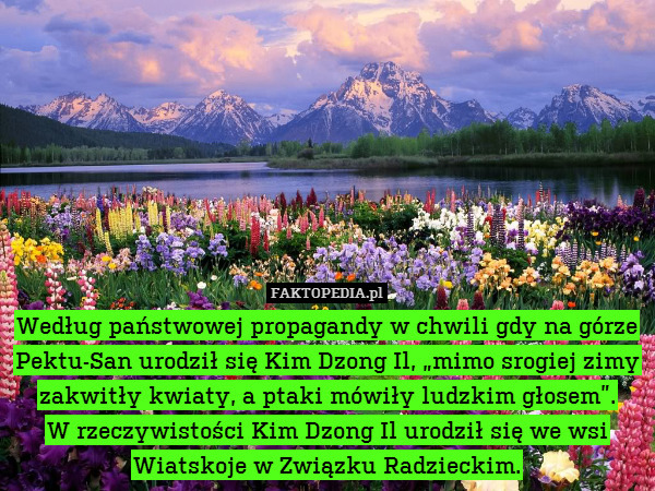 Według państwowej propagandy w chwili gdy na górze Pektu-San urodził się Kim Dzong Il, „mimo srogiej zimy zakwitły kwiaty, a ptaki mówiły ludzkim głosem”.
W rzeczywistości Kim Dzong Il urodził się we wsi Wiatskoje w Związku Radzieckim. 