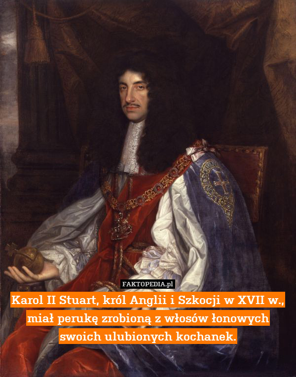 Karol II Stuart, król Anglii i Szkocji w XVII w.,
miał perukę zrobioną z włosów łonowych
swoich ulubionych kochanek. 