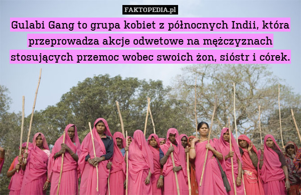 Gulabi Gang to grupa kobiet z północnych Indii, która przeprowadza akcje odwetowe na mężczyznach stosujących przemoc wobec swoich żon, sióstr i córek. 