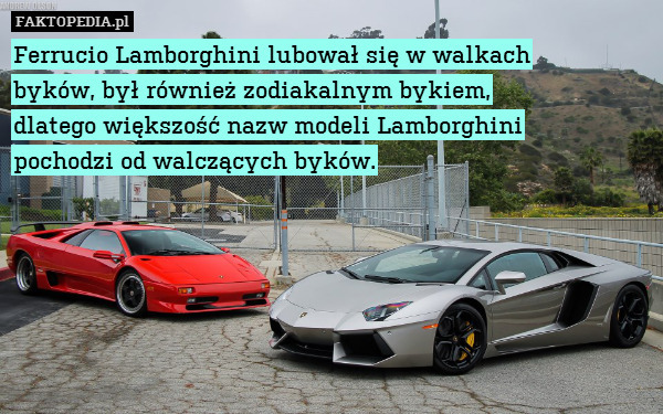 Ferrucio Lamborghini lubował się w walkach
byków, był również zodiakalnym bykiem,
dlatego większość nazw modeli Lamborghini
pochodzi od walczących byków. 