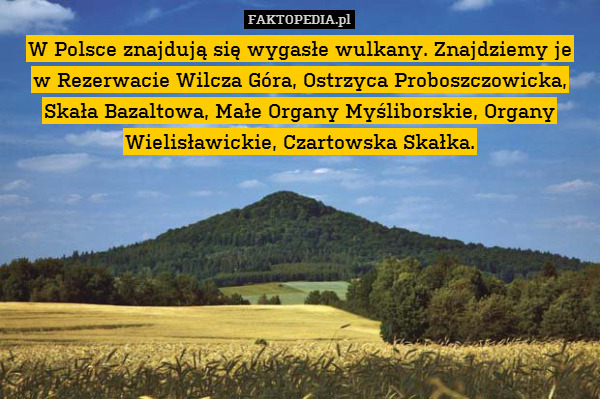 W Polsce znajdują się wygasłe wulkany. Znajdziemy je
w Rezerwacie Wilcza Góra, Ostrzyca Proboszczowicka, Skała Bazaltowa, Małe Organy Myśliborskie, Organy Wielisławickie, Czartowska Skałka. 