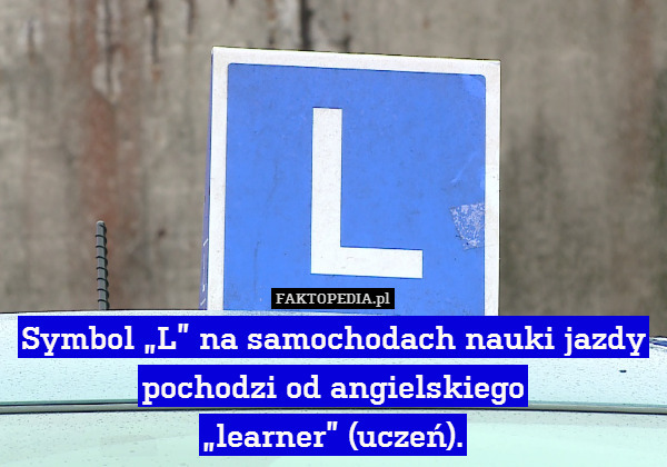 Symbol „L” na samochodach nauki jazdy pochodzi od angielskiego
„learner” (uczeń). 