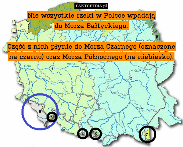 Nie wszystkie rzeki w Polsce wpadają
do Morza Bałtyckiego.

Część z nich płynie do Morza Czarnego (oznaczone na czarno) oraz Morza Północnego (na niebiesko). 