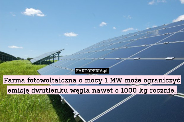 Farma fotowoltaiczna o mocy 1 MW może ograniczyć emisję dwutlenku węgla nawet o 1000 kg rocznie. 