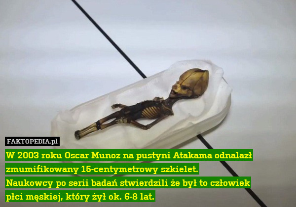 W 2003 roku Oscar Munoz na pustyni Atakama odnalazł zmumifikowany 15-centymetrowy szkielet.
Naukowcy po serii badań stwierdzili że był to człowiek
płci męskiej, który żył ok. 6-8 lat. 