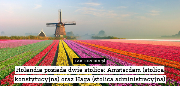 Holandia posiada dwie stolice: Amsterdam (stolica konstytucyjna) oraz Haga (stolica administracyjna) 