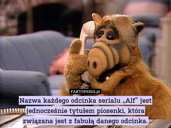 Nazwa każdego odcinka serialu „Alf” jest jednocześnie tytułem piosenki, która
związana jest z fabułą danego odcinka. 