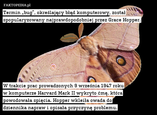 Termin „bug”, określający błąd komputerowy, został spopularyzowany najprawdopodobniej przez Grace Hopper.








W trakcie prac prowadzonych 9 września 1947 roku
w komputerze Harvard Mark II wykryto ćmę, która
powodowała spięcia. Hopper wkleiła owada do
dziennika napraw i opisała przyczynę problemu. 