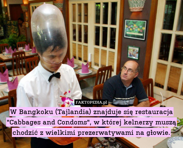 W Bangkoku (Tajlandia) znajduje się restauracja "Cabbages and Condoms", w której kelnerzy muszą chodzić z wielkimi prezerwatywami na głowie. 
