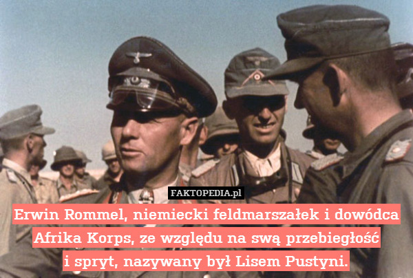 Erwin Rommel, niemiecki feldmarszałek i dowódca Afrika Korps, ze względu na swą przebiegłość
i spryt, nazywany był Lisem Pustyni. 