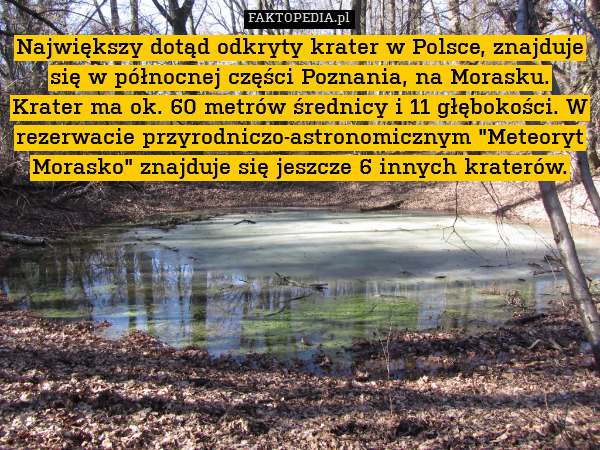 Największy dotąd odkryty krater w Polsce, znajduje się w północnej części Poznania, na Morasku. Krater ma ok. 60 metrów średnicy i 11 głębokości. W rezerwacie przyrodniczo-astronomicznym "Meteoryt Morasko" znajduje się jeszcze 6 innych kraterów. 