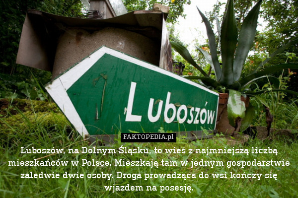 Luboszów, na Dolnym Śląsku, to wieś z najmniejszą liczbą mieszkańców w Polsce. Mieszkają tam w jednym gospodarstwie zaledwie dwie osoby. Droga prowadząca do wsi kończy się wjazdem na posesję. 