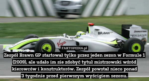 Zespół Brawn GP startował tylko przez jeden sezon w Formule 1 (2009), ale udało im sie zdobyć tytuł mistrzowski wśród kierowców i konstruktorów. Zespół powstał nieco ponad
3 tygodnie przed pierwszym wyścigiem sezonu. 